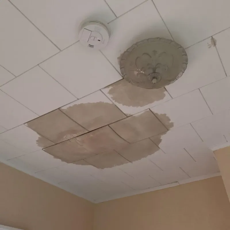 Ceiling Water Damage Repair in Shaw, DC