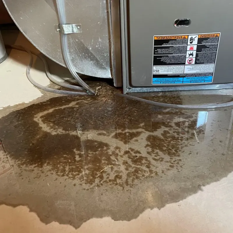 Pipe Burst and Leak Restoration in Shaw, DC