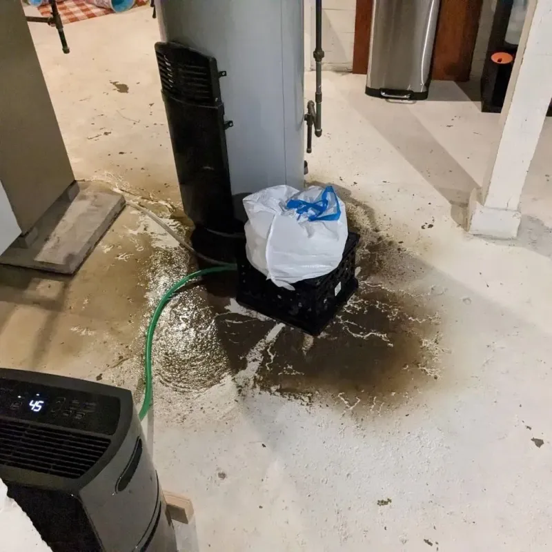 Sewage Backup Cleanup Service in Shaw, DC